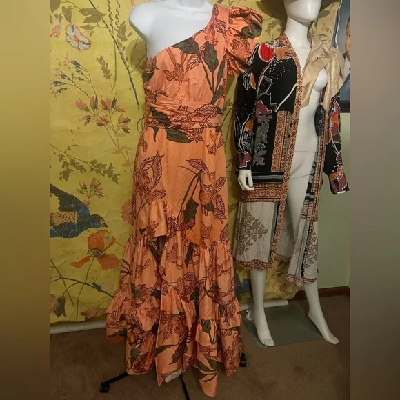 hutch one-shoulder ruffle maxi dress Hutch One-Shoulder Faux-Feather Trim Maxi Dress